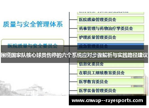围绕国家队核心球员伤停的六个系统应对步骤解析与实践路径建议